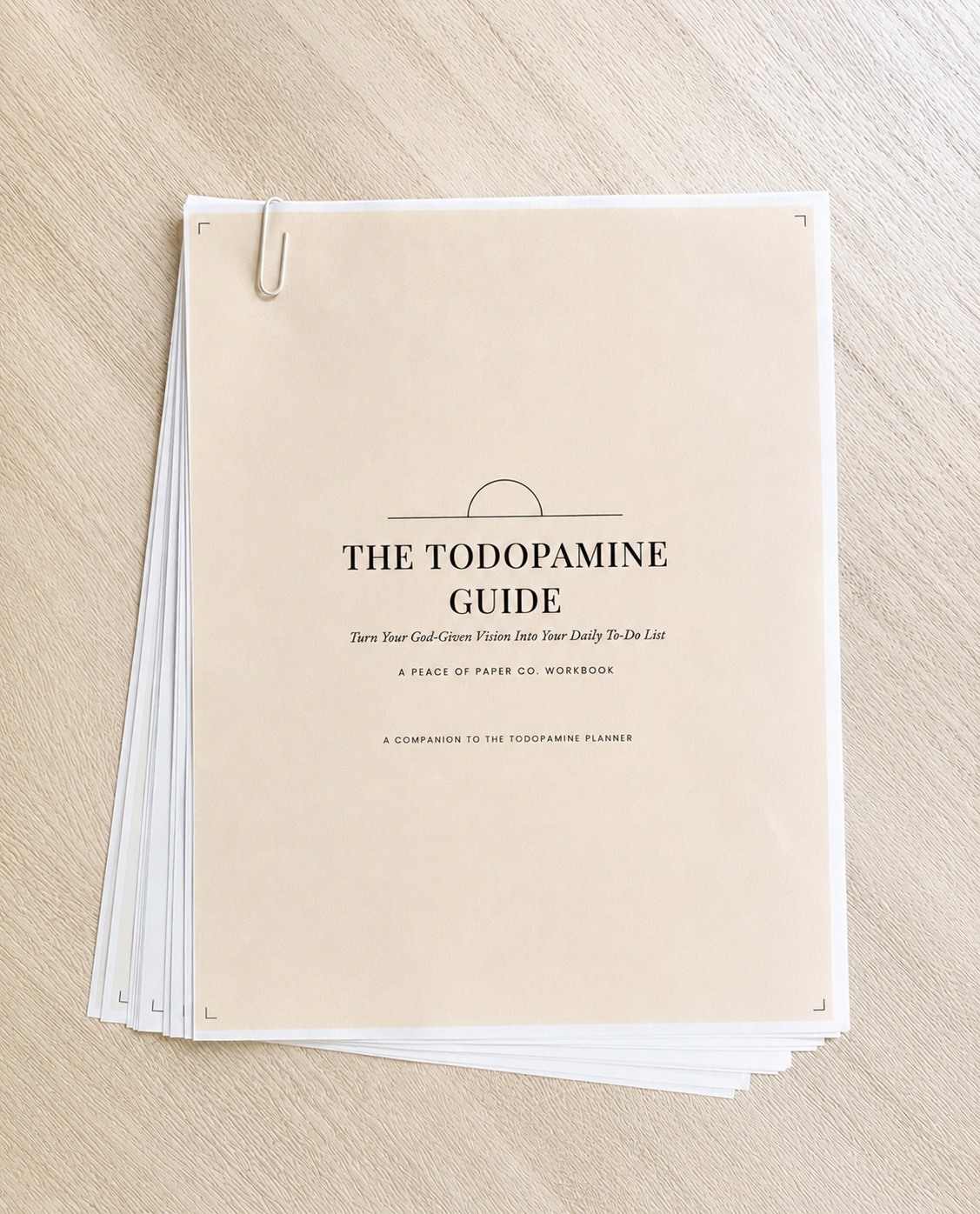 The ToDopamine Guide | Digital Download Workbook